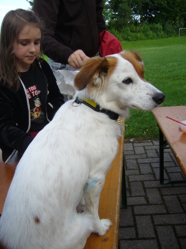 image34